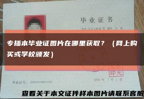 专插本毕业证图片在哪里获取？（网上购买或学校颁发）缩略图