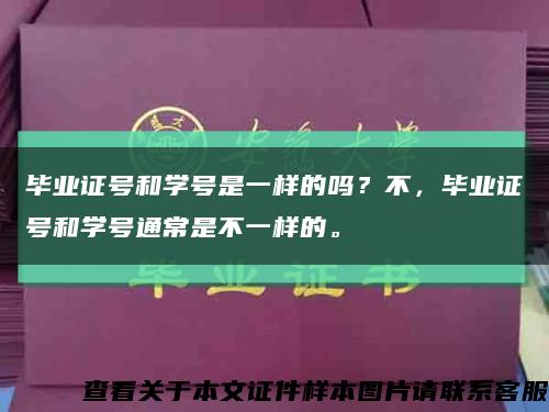 毕业证号和学号是一样的吗？不，毕业证号和学号通常是不一样的。缩略图