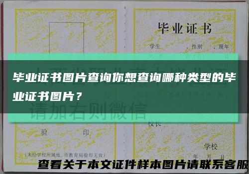 毕业证书图片查询你想查询哪种类型的毕业证书图片？缩略图