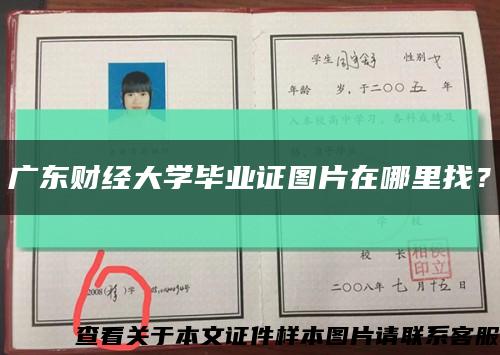 广东财经大学毕业证图片在哪里找？缩略图