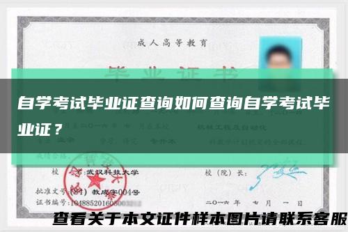 自学考试毕业证查询如何查询自学考试毕业证？缩略图
