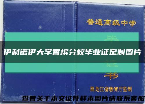 伊利诺伊大学香槟分校毕业证定制图片缩略图