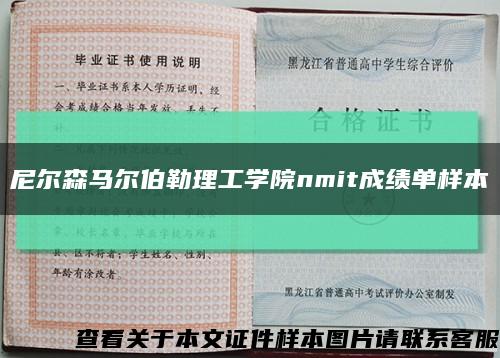 尼尔森马尔伯勒理工学院nmit成绩单样本缩略图