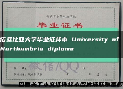 诺桑比亚大学毕业证样本 University of Northumbria diploma缩略图