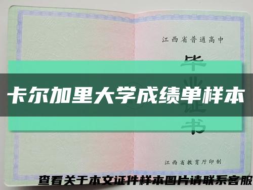 卡尔加里大学成绩单样本缩略图
