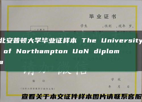 北安普顿大学毕业证样本 The University of Northampton UoN diploma缩略图