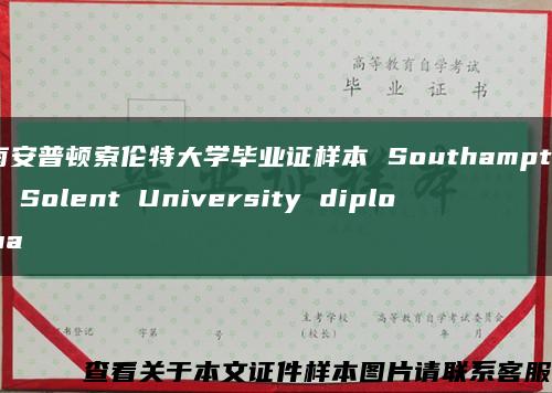 南安普顿索伦特大学毕业证样本 Southampton Solent University diploma缩略图