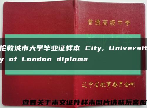 伦敦城市大学毕业证样本 City, University of London diploma缩略图