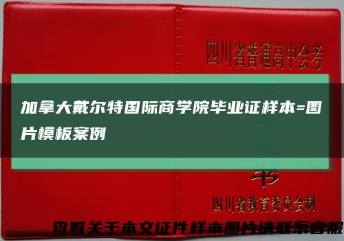 加拿大戴尔特国际商学院毕业证样本=图片模板案例缩略图