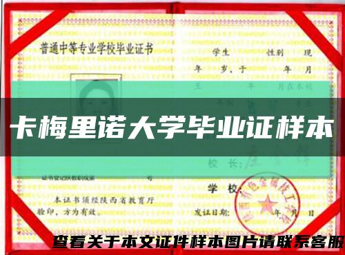 卡梅里诺大学毕业证样本缩略图