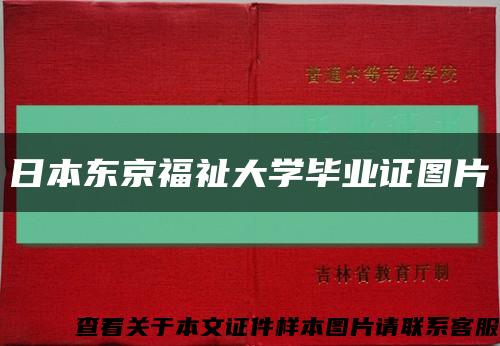 日本东京福祉大学毕业证图片缩略图