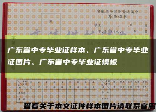 广东省中专毕业证样本、广东省中专毕业证图片、广东省中专毕业证模板缩略图