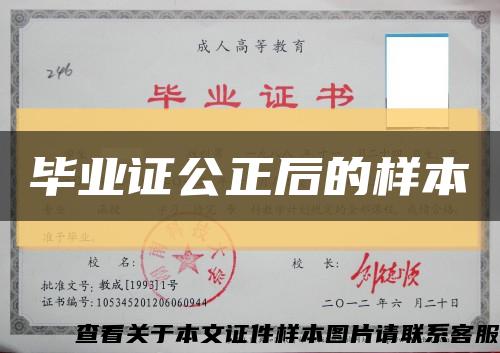 毕业证公正后的样本缩略图