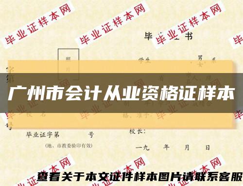 广州市会计从业资格证样本缩略图