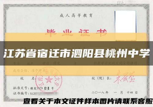 江苏省宿迁市泗阳县桃州中学缩略图