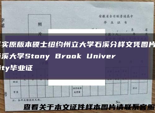真实原版本硕士纽约州立大学石溪分样文凭图片／石溪大学Stony Brook University毕业证缩略图