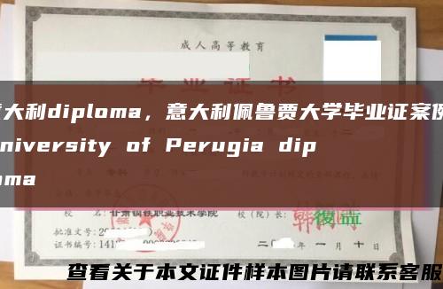 意大利diploma，意大利佩鲁贾大学毕业证案例，University of Perugia diploma缩略图