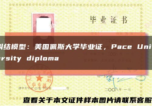 纠结模型：美国佩斯大学毕业证，Pace University diploma缩略图