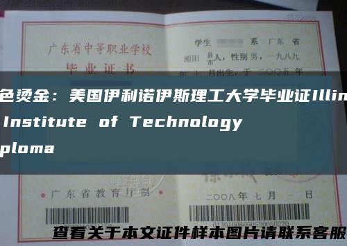 红色烫金：美国伊利诺伊斯理工大学毕业证Illinois Institute of Technology diploma缩略图