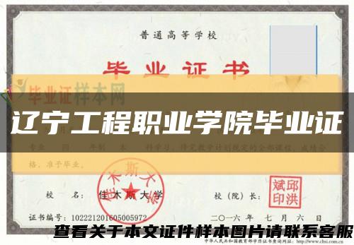 辽宁工程职业学院毕业证缩略图