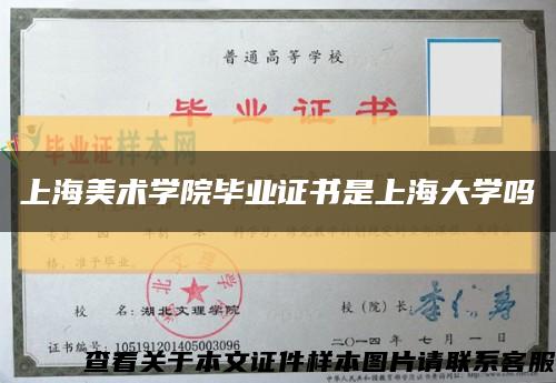 上海美术学院毕业证书是上海大学吗缩略图