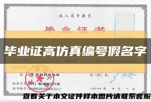 毕业证高仿真编号假名字缩略图