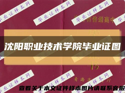 沈阳职业技术学院毕业证图缩略图