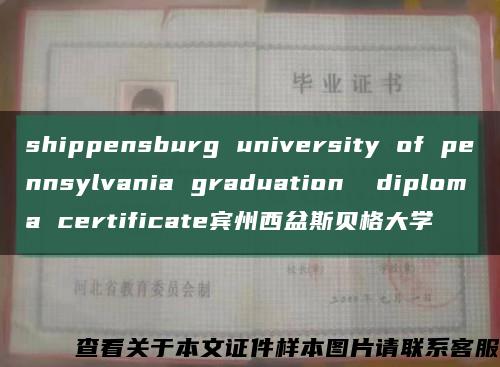 shippensburg university of pennsylvania graduation  diploma certificate宾州西盆斯贝格大学缩略图