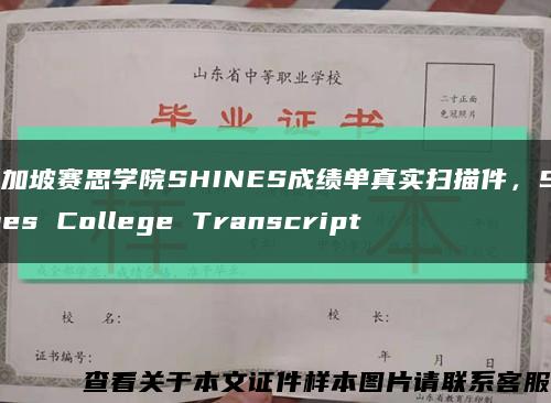 新加坡赛思学院SHINES成绩单真实扫描件，Shines College Transcript缩略图