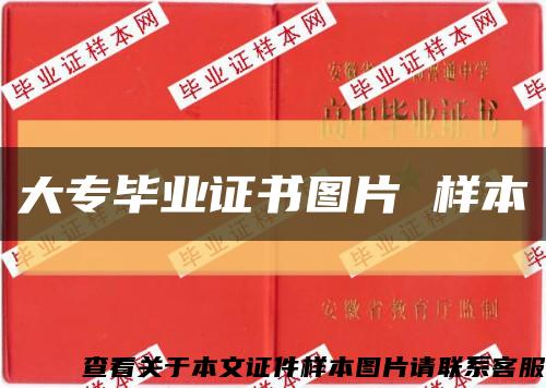 大专毕业证书图片 样本缩略图