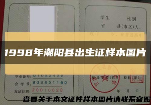 1998年潮阳县出生证样本图片缩略图