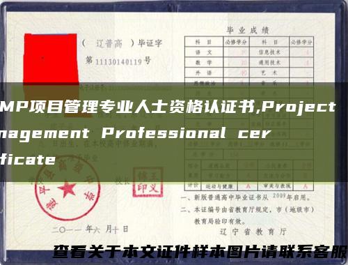 PMP项目管理专业人士资格认证书,Project Management Professional certificate缩略图