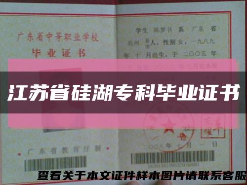 江苏省硅湖专科毕业证书缩略图