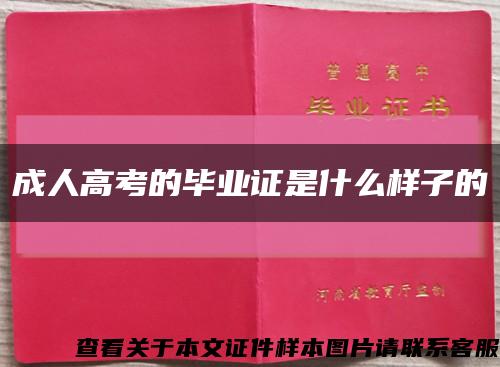 成人高考的毕业证是什么样子的缩略图