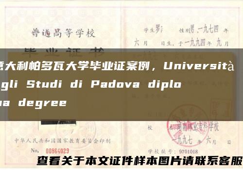 意大利帕多瓦大学毕业证案例，Università degli Studi di Padova diploma degree缩略图