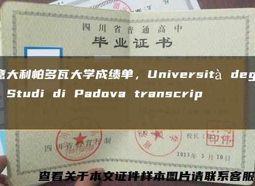 意大利帕多瓦大学成绩单，Università degli Studi di Padova transcript缩略图