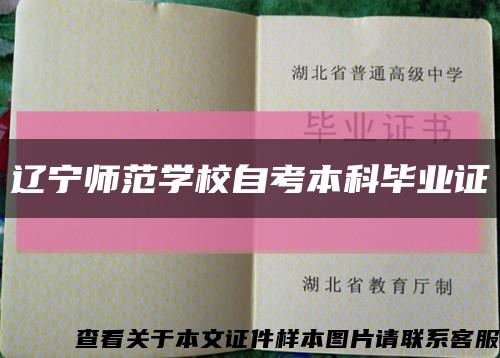 辽宁师范学校自考本科毕业证缩略图