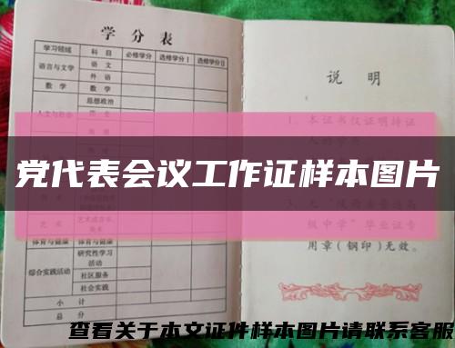 党代表会议工作证样本图片缩略图