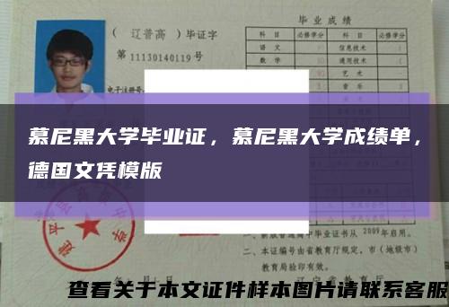 慕尼黑大学毕业证，慕尼黑大学成绩单，德国文凭模版缩略图