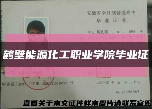 鹤壁能源化工职业学院毕业证缩略图