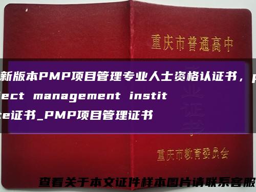 最新版本PMP项目管理专业人士资格认证书，project management institute证书_PMP项目管理证书缩略图