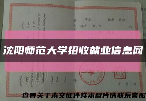 沈阳师范大学招收就业信息网缩略图