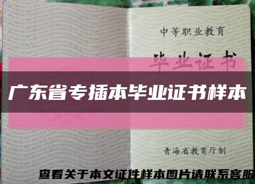 广东省专插本毕业证书样本缩略图