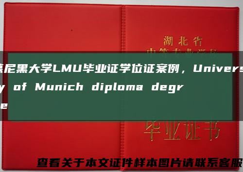 慕尼黑大学LMU毕业证学位证案例，University of Munich diploma degree缩略图