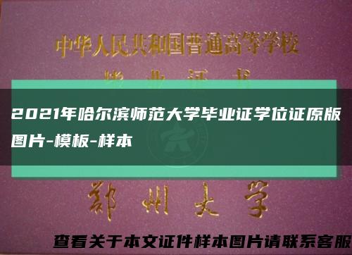 2021年哈尔滨师范大学毕业证学位证原版图片-模板-样本缩略图