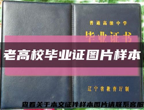 老高校毕业证图片样本缩略图