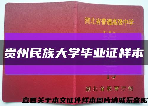 贵州民族大学毕业证样本缩略图