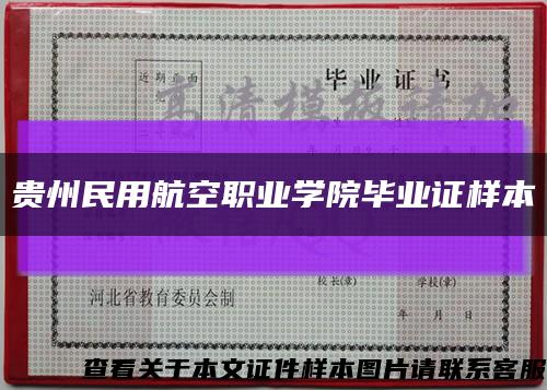 贵州民用航空职业学院毕业证样本缩略图