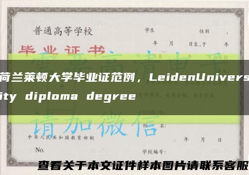 荷兰莱顿大学毕业证范例，LeidenUniversity diploma degree缩略图