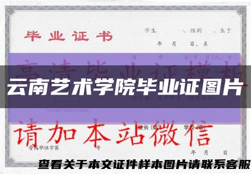 云南艺术学院毕业证图片缩略图